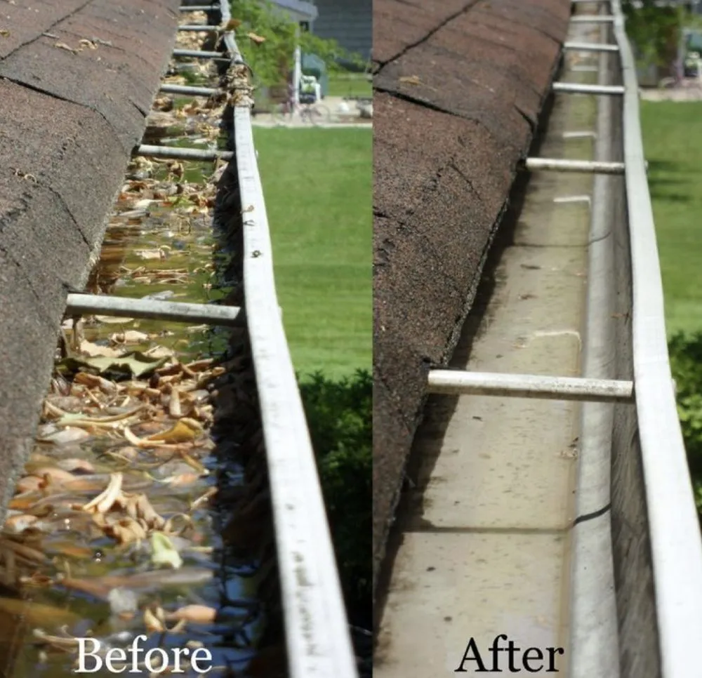 Expert lawn care service near you across Modesto, CA - All About The Green