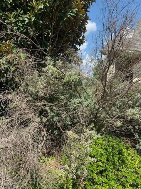 Expert residential landscaping in Weatherford, TX - All About The Yard