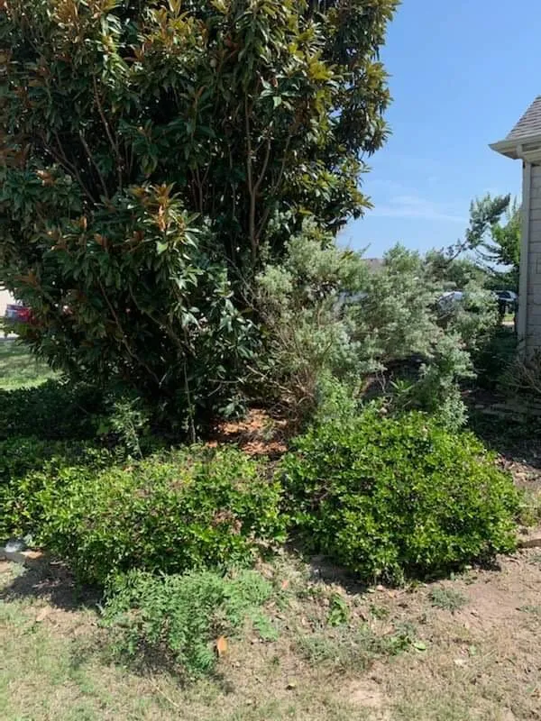 Custom lawn mowing service in Weatherford, TX - All About The Yard