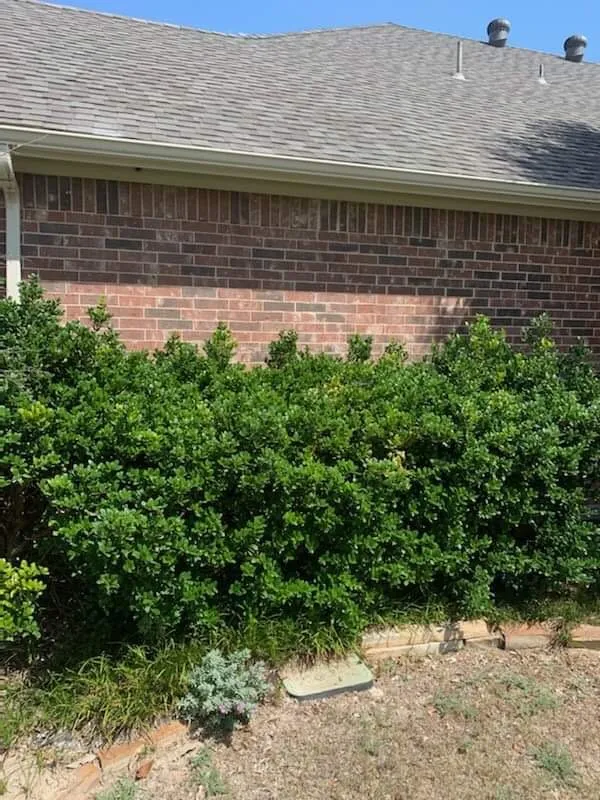 Affordable lawn mowing service in Weatherford, TX - All About The Yard