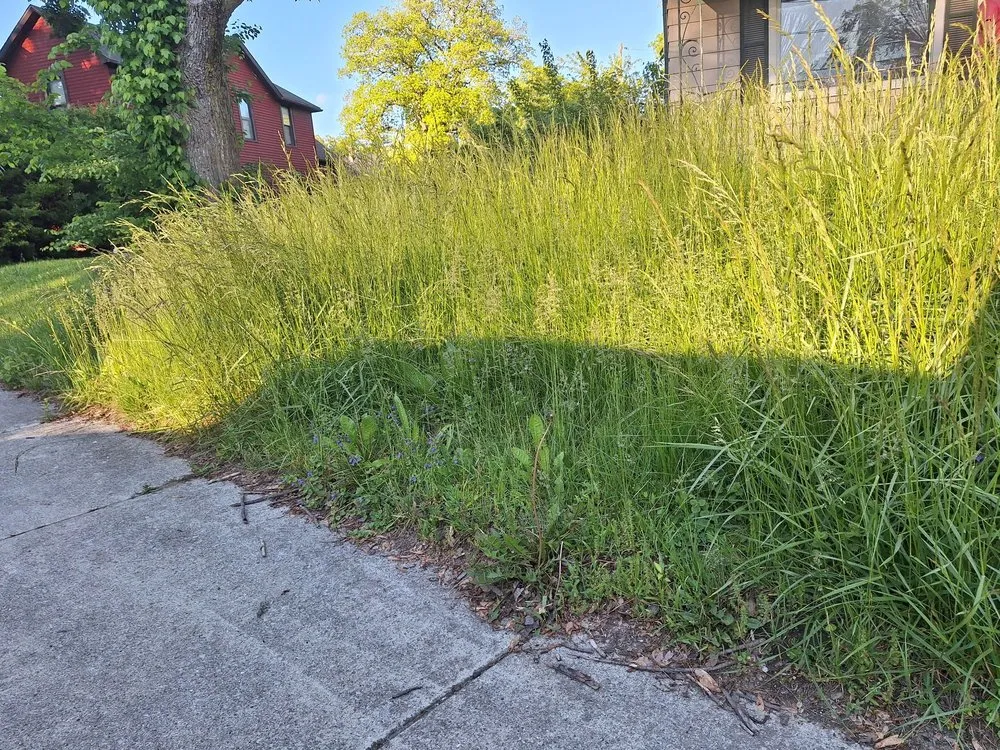 Expert landscape installation in Fort Wayne, IN by All About Tree & Turf Services