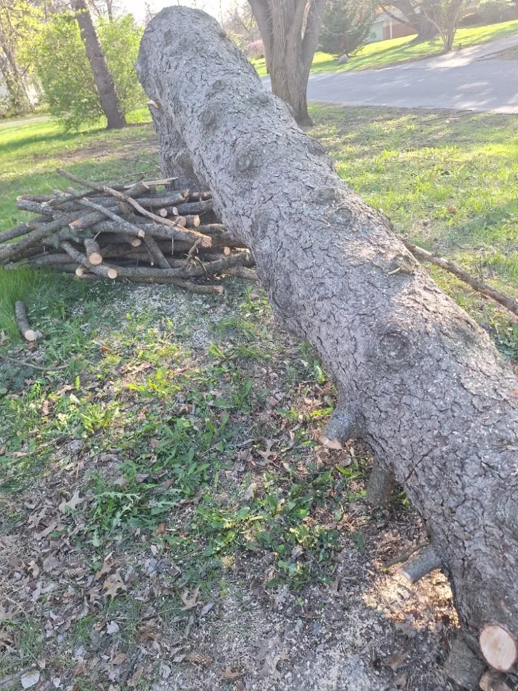 Top-rated landscaping services for beautiful yards in Fort Wayne, IN by All About Tree & Turf Services