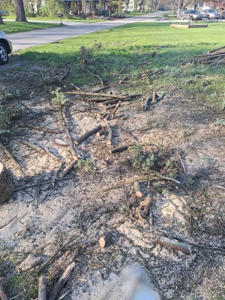 Custom lawn mowing service for beautiful yards across Fort Wayne, IN - All About Tree & Turf Services