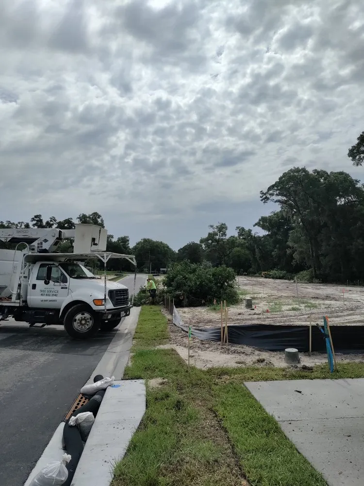 Top-rated lawn care service in Belle Isle, FL by All About Trees Orlando