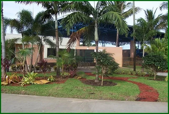 Affordable outdoor landscaping for year-round maintenance across Belle Isle, FL - All About Trees Orlando