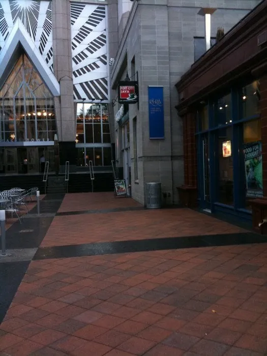 Expert yard cleanup service in Belle Isle, FL - All About Trees Orlando