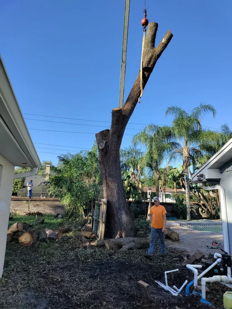 Top-rated outdoor landscaping experts serving Belle Isle, FL - All About Trees Orlando