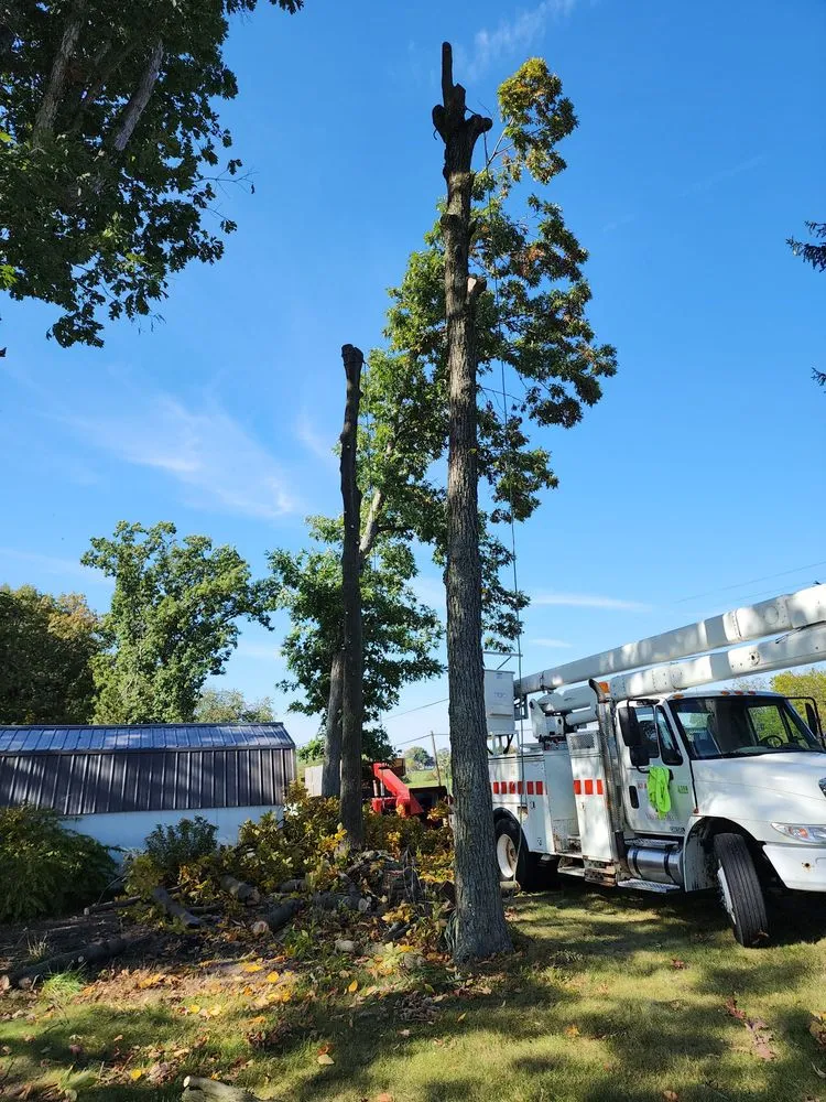 Reliable landscape installation for beautiful yards in Wooster, OH by All about trees