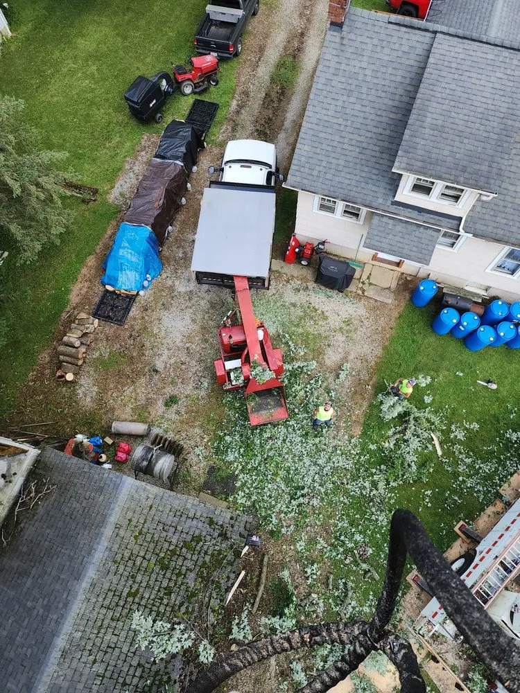 Affordable yard maintenance for beautiful yards across Wooster, OH - All about trees