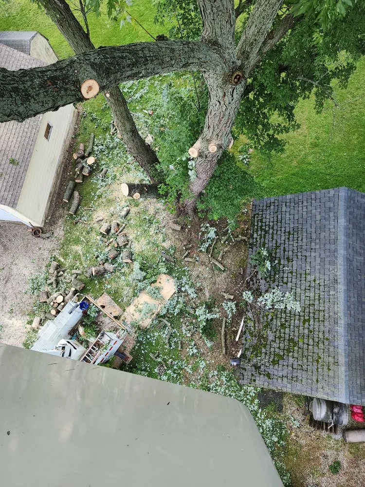 Expert landscape installation experts serving Wooster, OH - All about trees