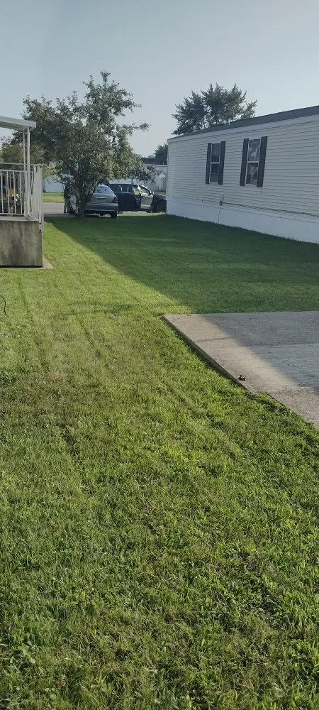 Local residential landscaping in Brownstown, MI by All Above & Beyond Services