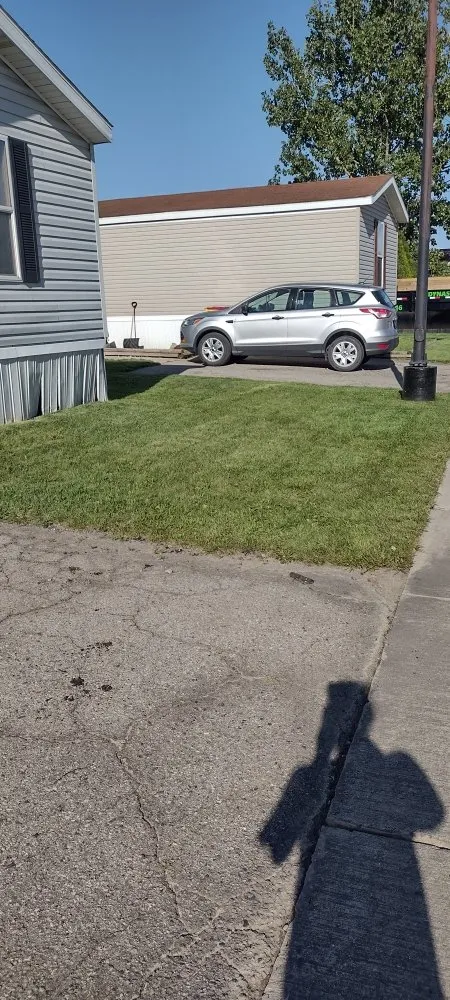 Top-rated yard cleanup service in Brownstown, MI by All Above & Beyond Services