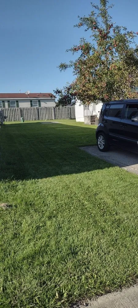 Reliable yard maintenance in Brownstown, MI by All Above & Beyond Services