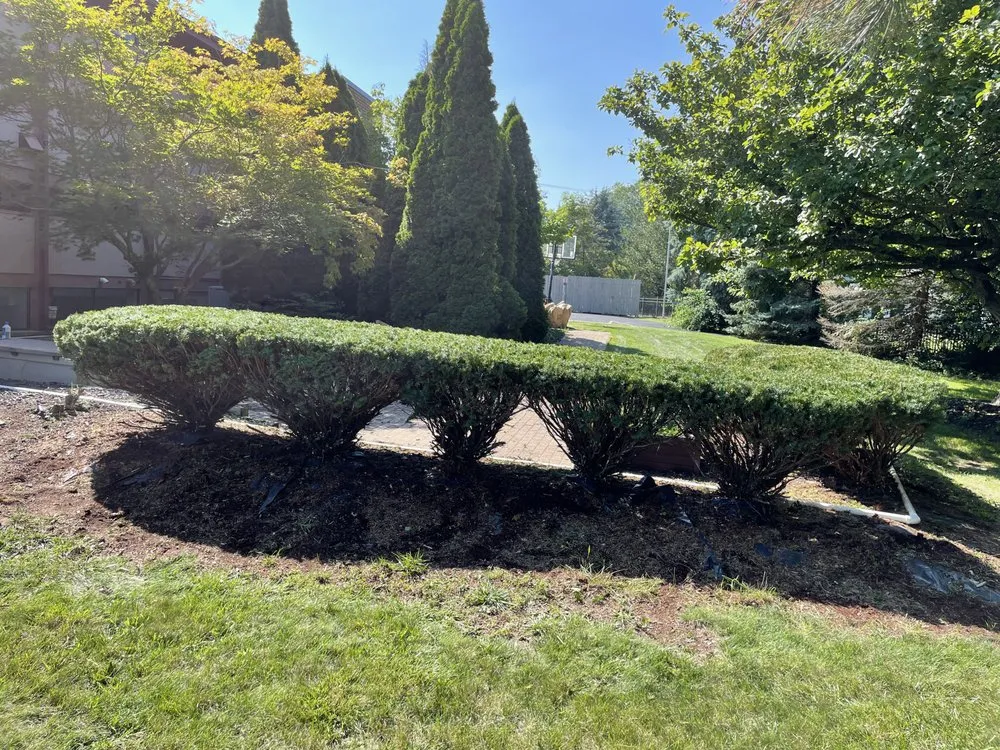 Professional landscape installation experts serving Brownstown, MI - All Above & Beyond Services