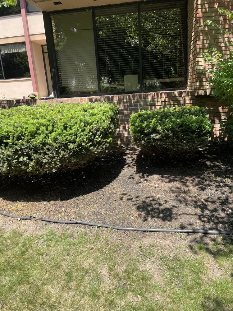 Professional residential landscaping experts serving Brownstown, MI - All Above & Beyond Services