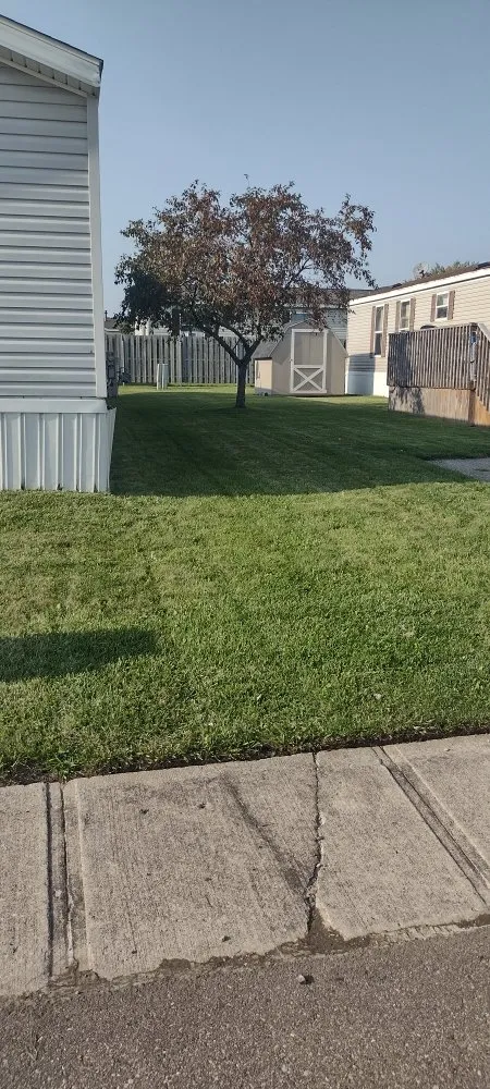 Affordable yard maintenance experts serving Brownstown, MI - All Above & Beyond Services