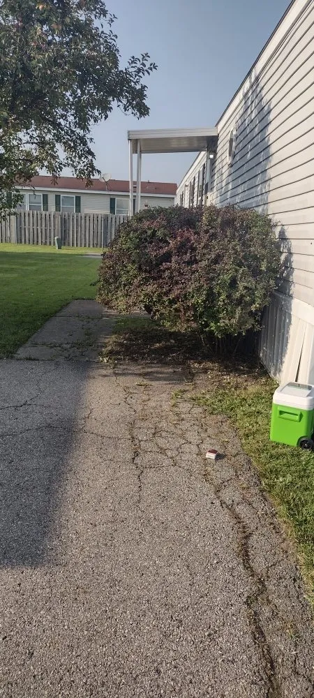 Reliable residential landscaping in Brownstown, MI by All Above & Beyond Services