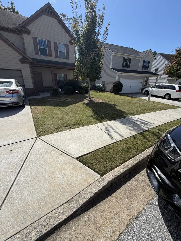 Top-rated residential landscaping in Athens, GA - All Above Grounds