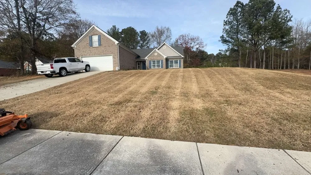 Reliable outdoor landscaping experts serving Athens, GA - All Above Grounds