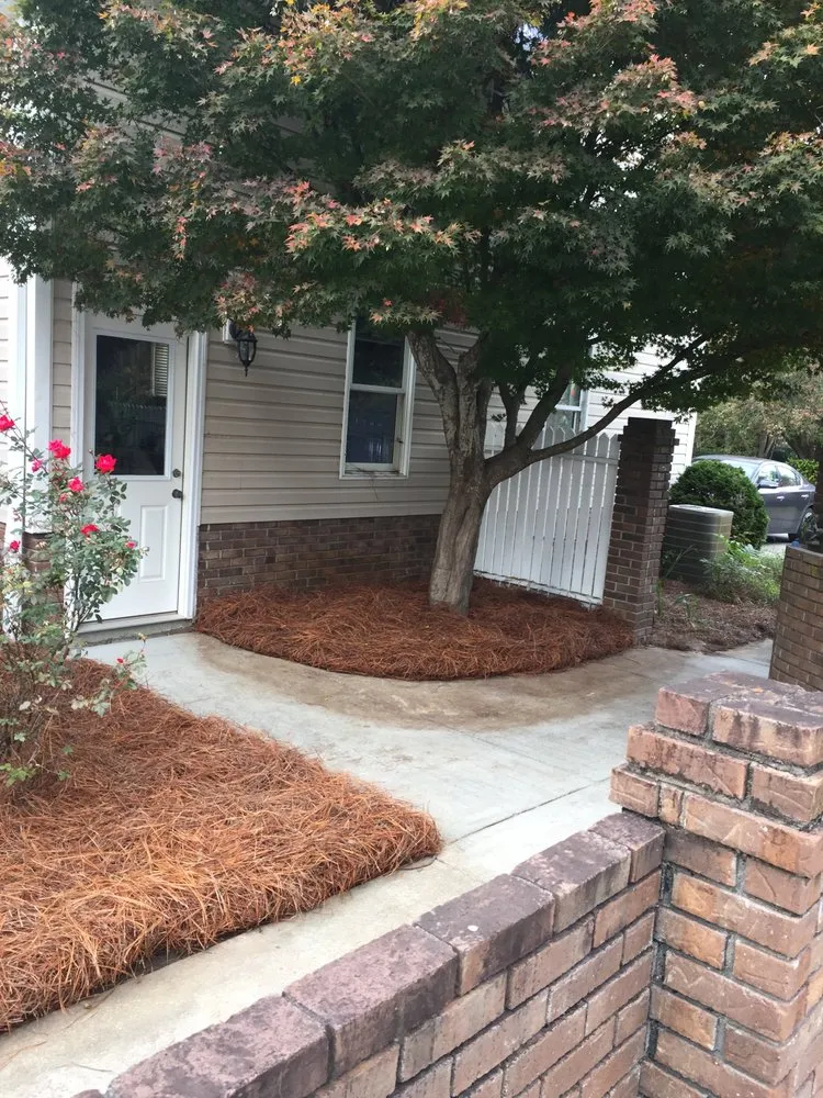 Top-rated landscaping services for homes across Sumter, SC - All Above Landscaping
