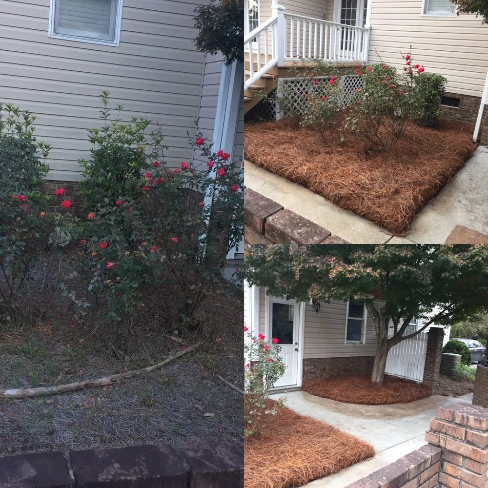 Local yard cleanup service for residential properties across Sumter, SC - All Above Landscaping
