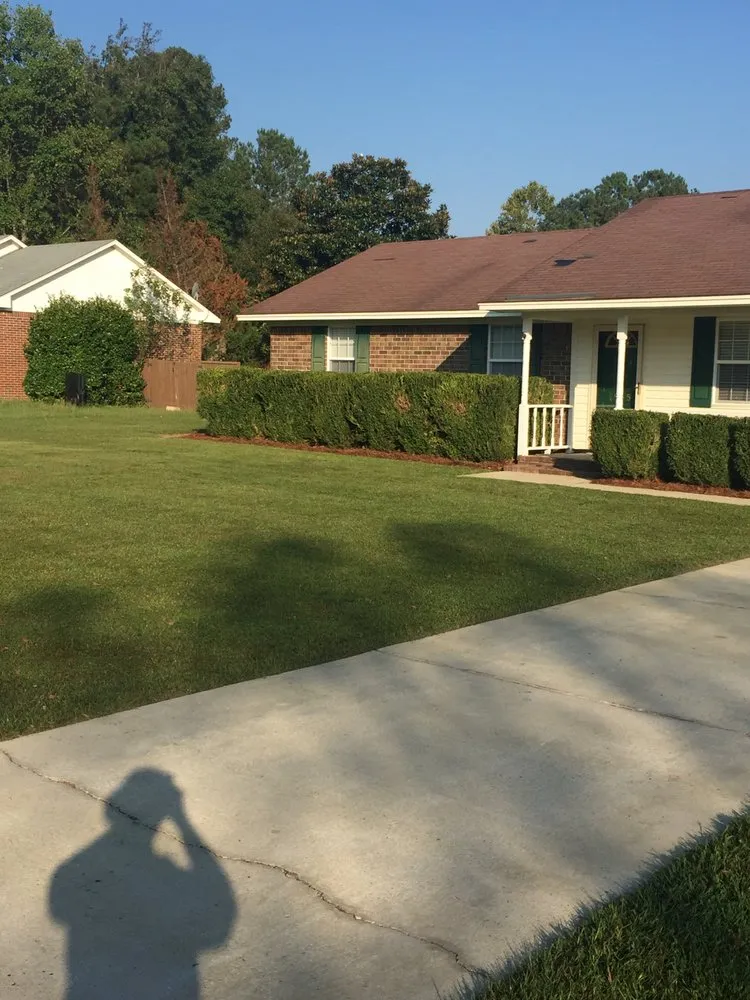 Expert yard cleanup service experts serving Sumter, SC - All Above Landscaping