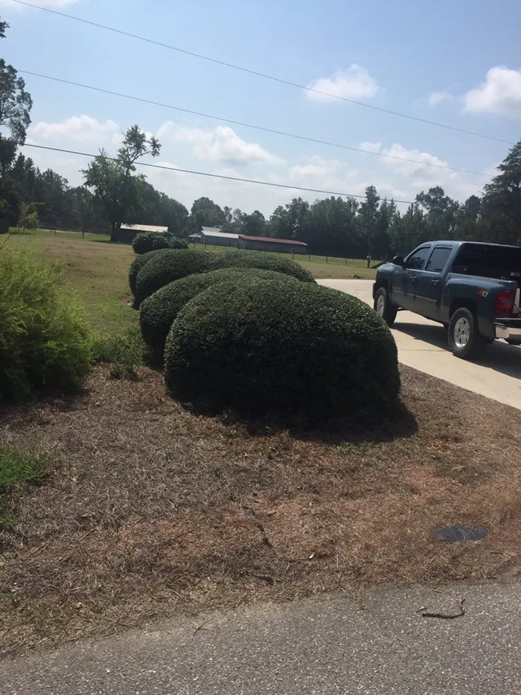 Local lawn mowing service with custom design across Sumter, SC - All Above Landscaping