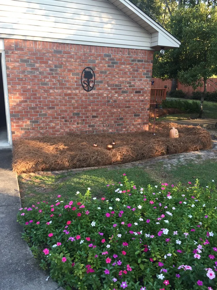 Expert yard cleanup service experts serving Sumter, SC - All Above Landscaping
