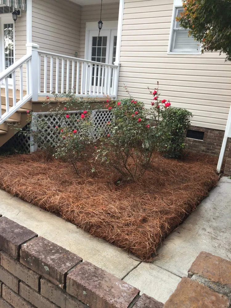 Expert landscape installation experts serving Sumter, SC - All Above Landscaping
