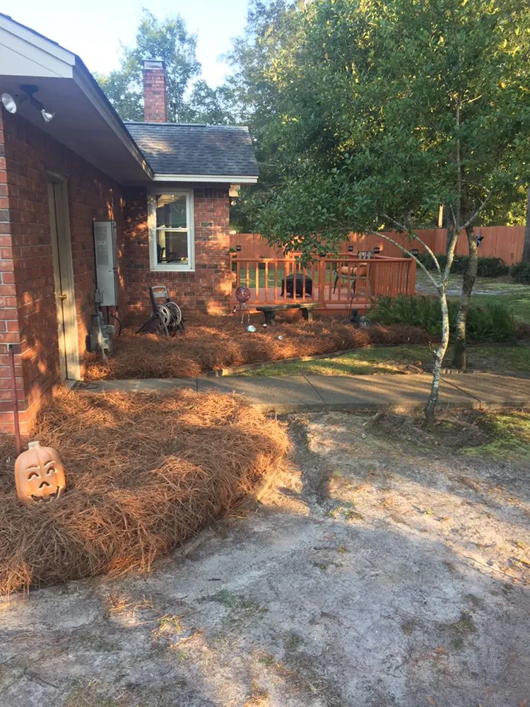 Expert yard cleanup service in Sumter, SC by All Above Landscaping