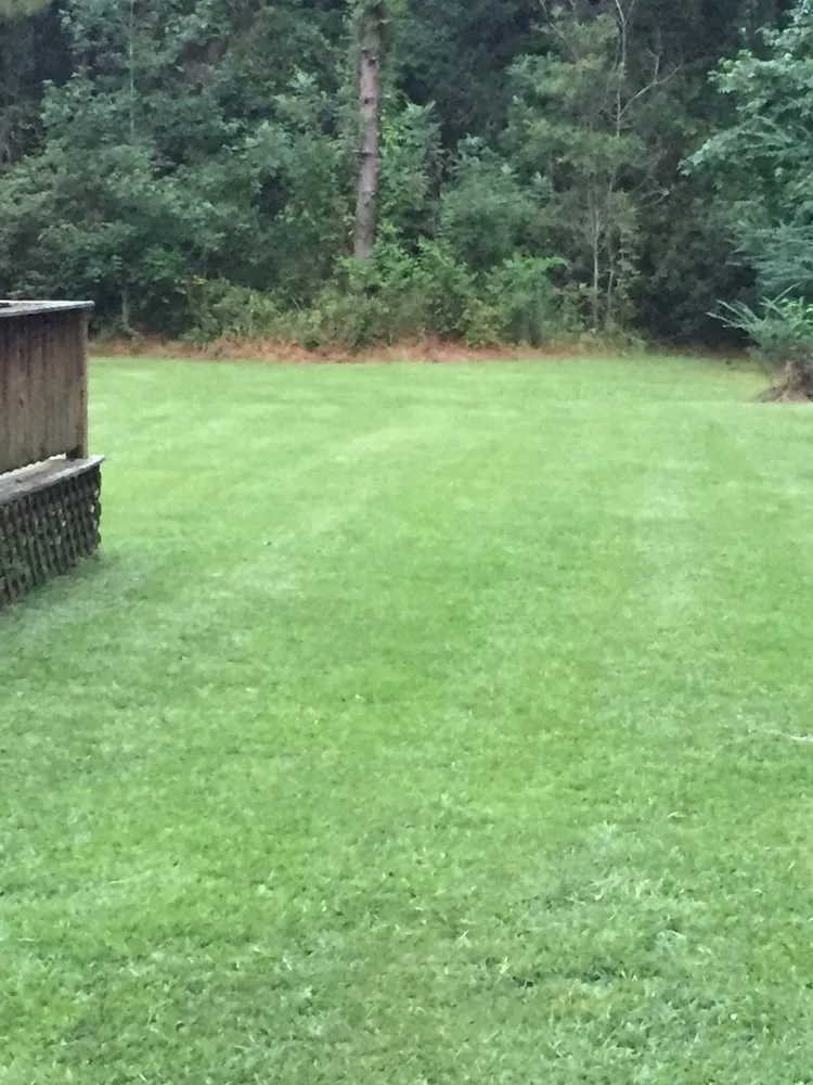 Professional lawn care service near you across Sumter, SC - All Above Landscaping