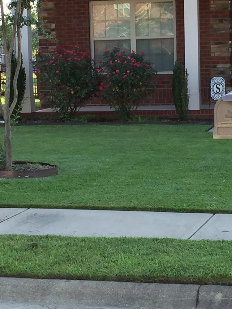 Affordable landscape design with custom design in Sumter, SC by All Above Landscaping