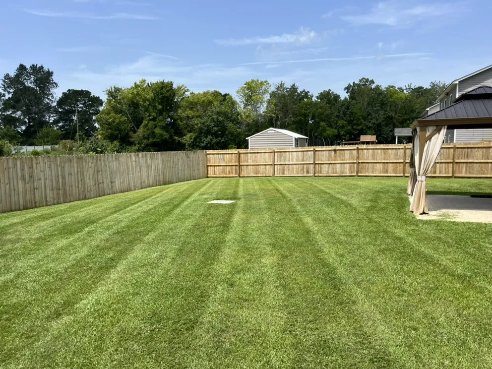 Affordable lawn mowing service near you in Sumter, SC by All Above Landscaping