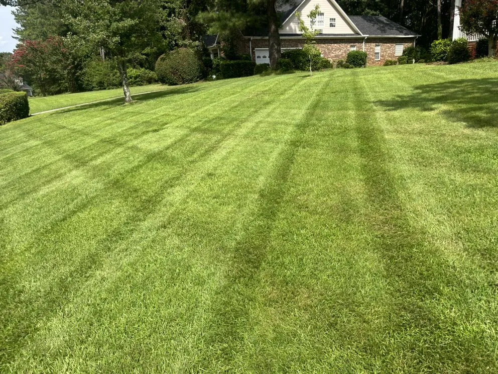 Top-rated outdoor landscaping in Sumter, SC by All Above Landscaping