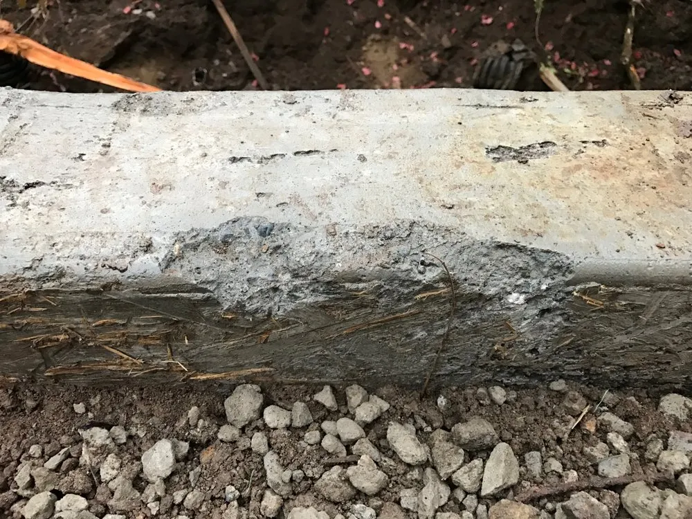 Expert yard maintenance experts serving Richmond, CA - All Access Construction