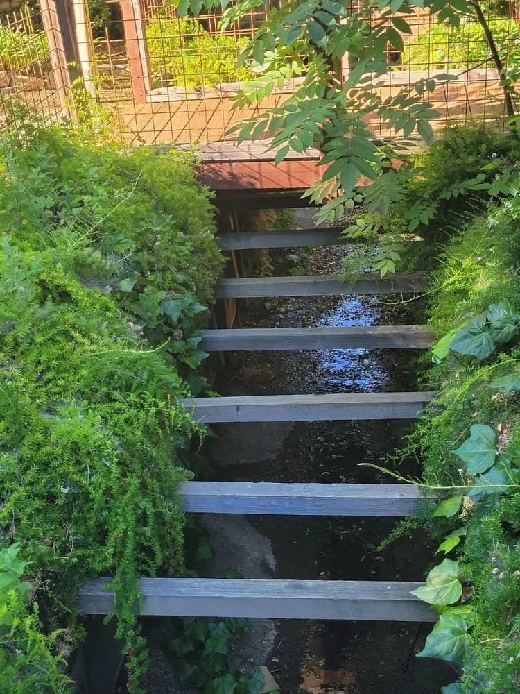 Custom lawn mowing service for homes across Richmond, CA - All Access Construction