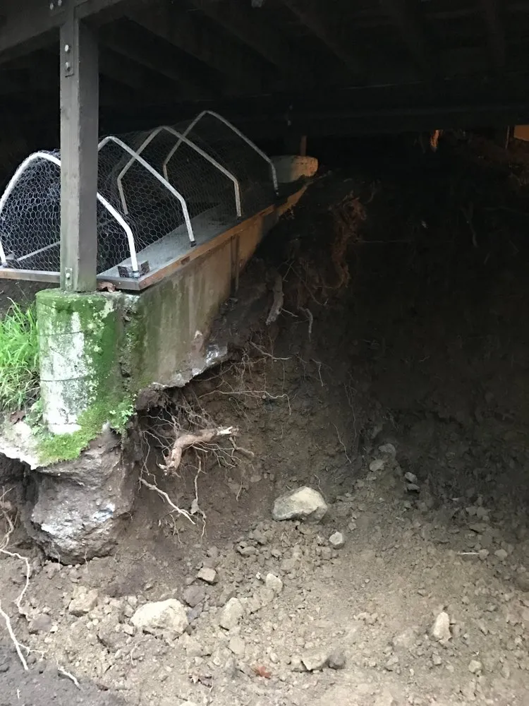 Custom residential landscaping for beautiful yards in Richmond, CA by All Access Construction