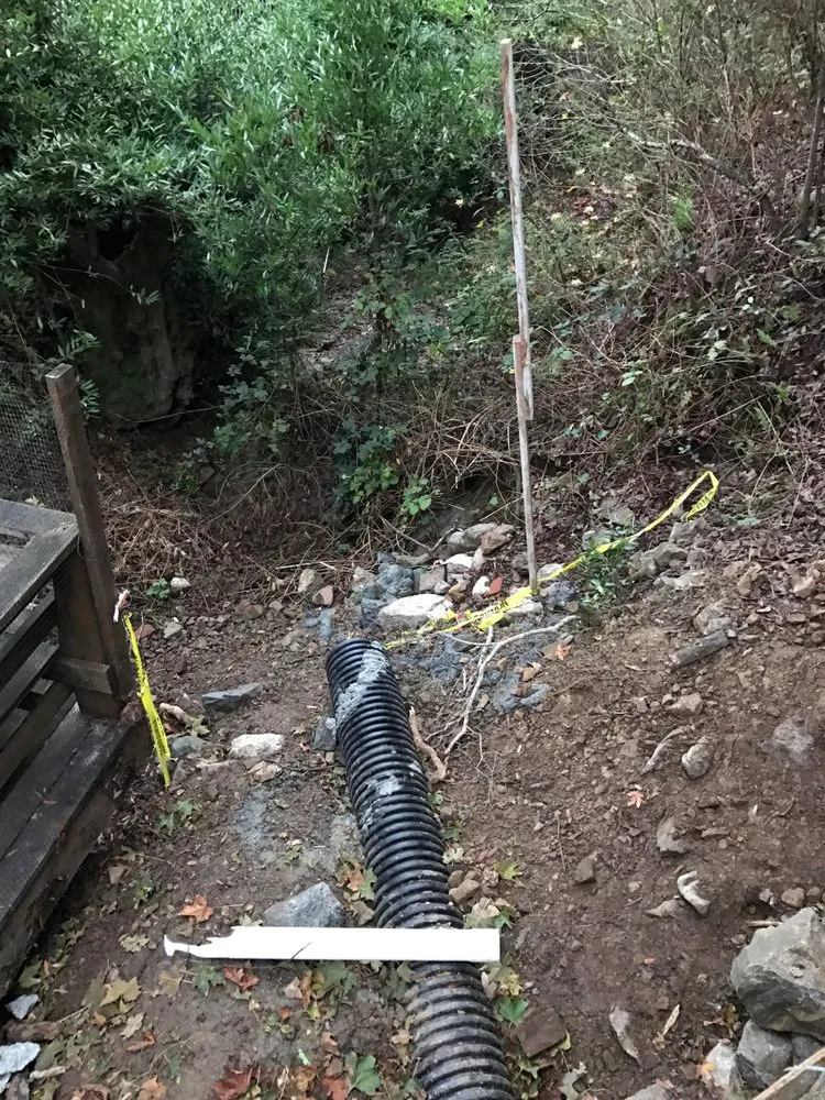 Custom yard maintenance with custom design in Richmond, CA by All Access Construction