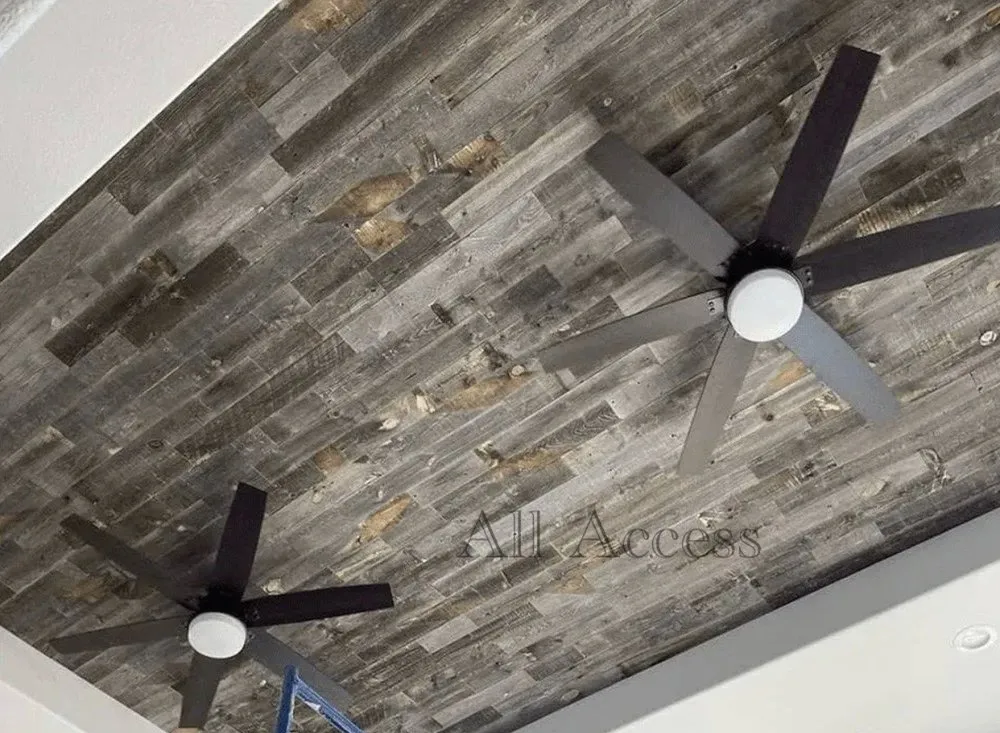 Expert yard maintenance for homes across San Antonio, TX - All Access Landscape & Design