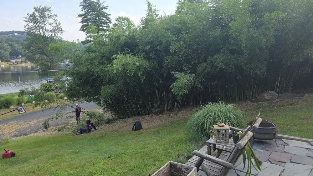 Top-rated yard cleanup service experts serving Dover, NJ - All Access Landscaping and Tree Service