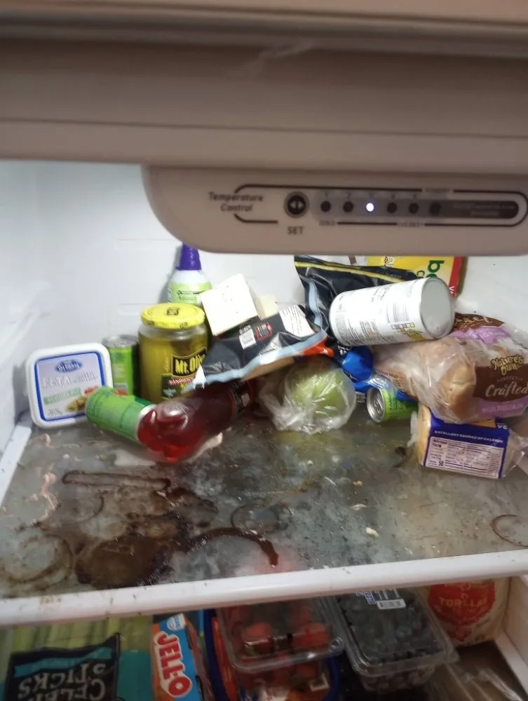 Professional lawn care service in Uvalde, TX - All Aces