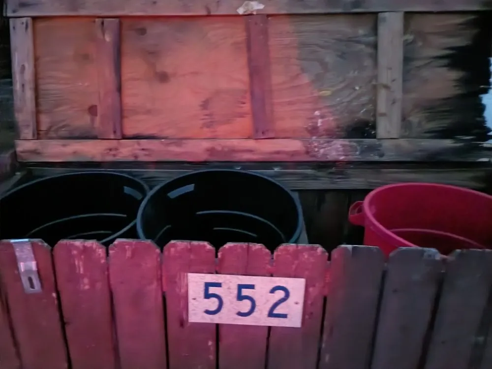 Affordable yard maintenance experts serving Uvalde, TX - All Aces