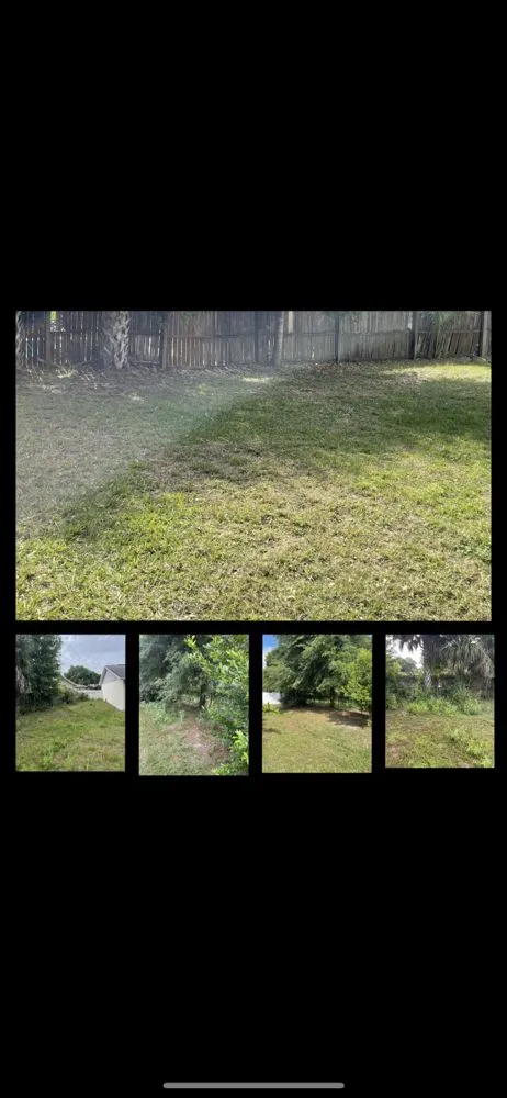 Affordable yard cleanup service in Winter Park, FL - All Acres Landscaping