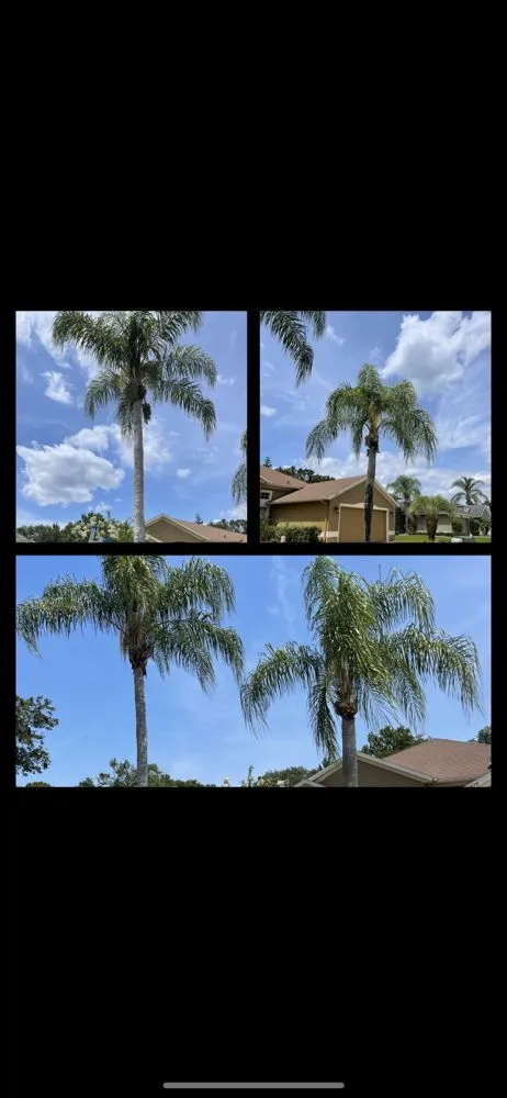 Trusted outdoor landscaping near you across Winter Park, FL - All Acres Landscaping