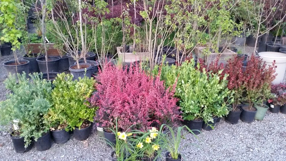 Affordable lawn mowing service with custom design across Grants Pass, OR - All American City Landscaping