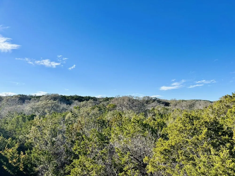 Professional landscaping services for beautiful yards in Round Lake, IL by All American Concepts