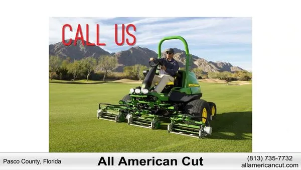 All American Cut Lawn Services Logo
