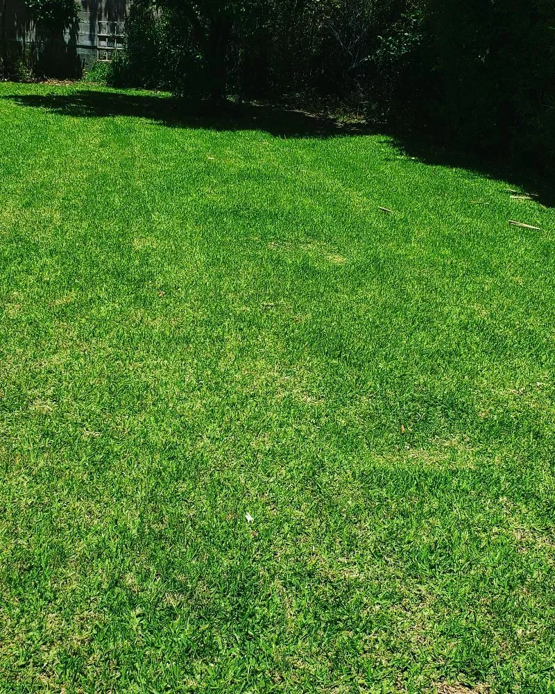 Reliable outdoor landscaping in Monrovia, CA by All American gardening service