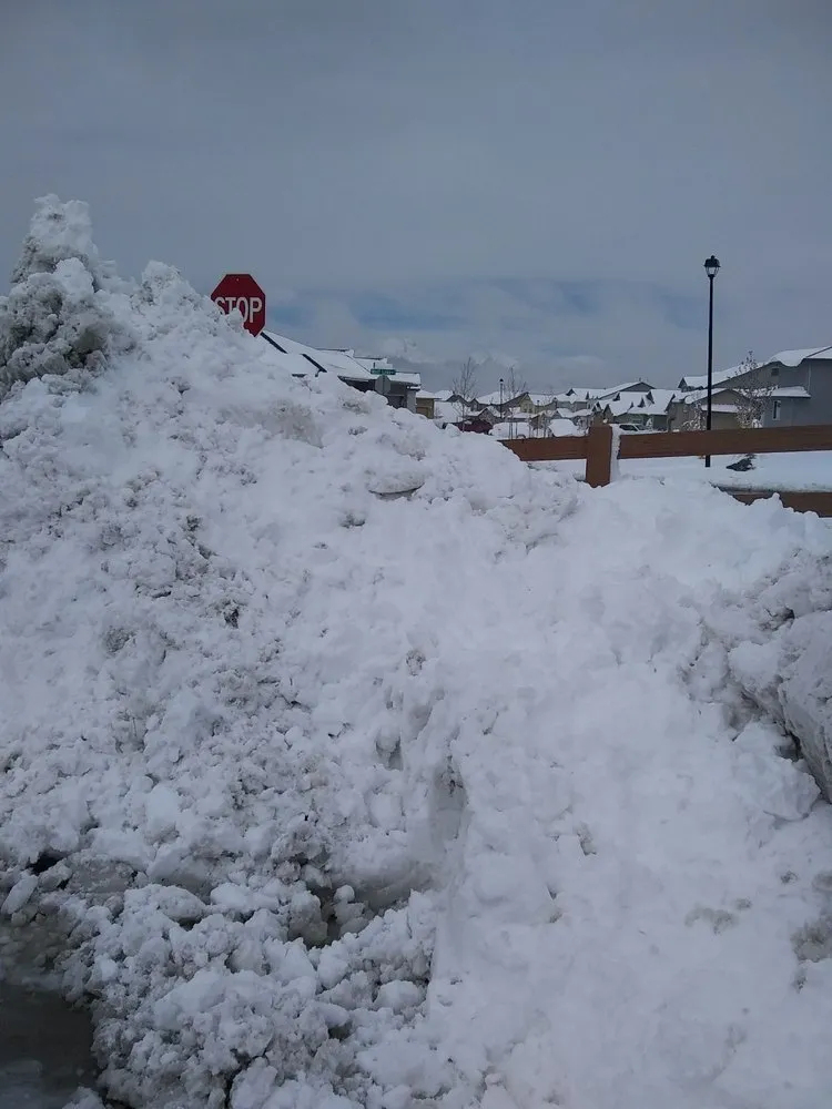 Custom yard maintenance experts serving Colorado Springs, CO - All American Ground Maintenance