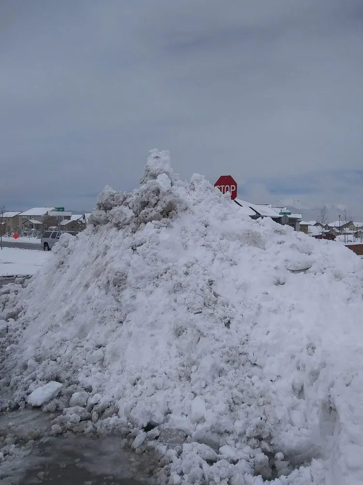 Top-rated yard maintenance in Colorado Springs, CO by All American Ground Maintenance